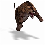Andrewsarchus 07 A_0001
